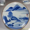 染付山水九寸半大皿W2673