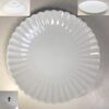 たち吉白菊七寸皿W10096